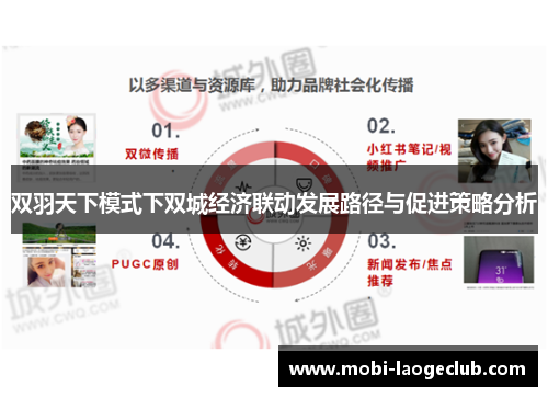 双羽天下模式下双城经济联动发展路径与促进策略分析