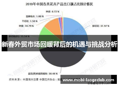 新春外贸市场回暖背后的机遇与挑战分析