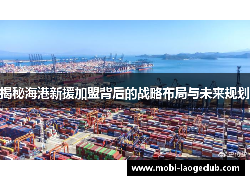 揭秘海港新援加盟背后的战略布局与未来规划