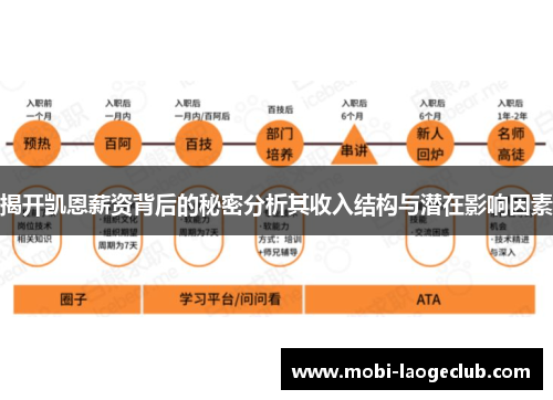 揭开凯恩薪资背后的秘密分析其收入结构与潜在影响因素