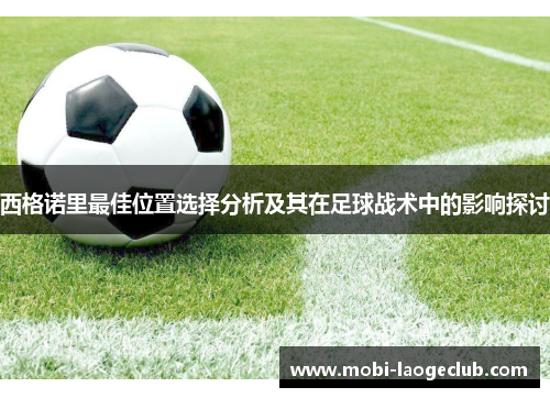 西格诺里最佳位置选择分析及其在足球战术中的影响探讨 西格诺里最佳位置选择分析及其在足球战术中的影响探讨