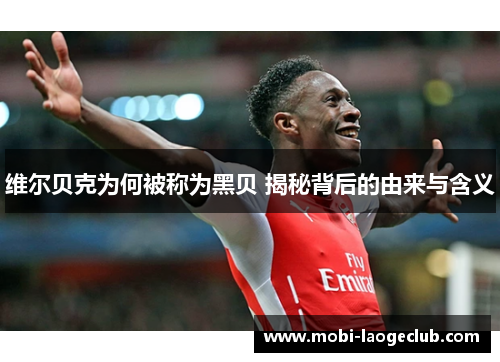 维尔贝克为何被称为黑贝 揭秘背后的由来与含义