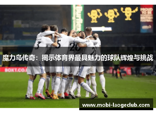 魔力鸟传奇:揭示体育界最具魅力的球队辉煌与挑战 魔力鸟传奇:揭示体育界最具魅力的球队辉煌与挑战