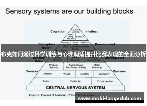 布克如何通过科学训练与心理调适提升比赛表现的全面分析