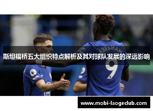 斯坦福桥五大组织特点解析及其对球队发展的深远影响