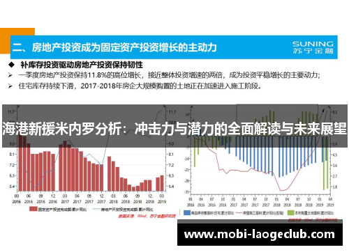 海港新援米内罗分析：冲击力与潜力的全面解读与未来展望