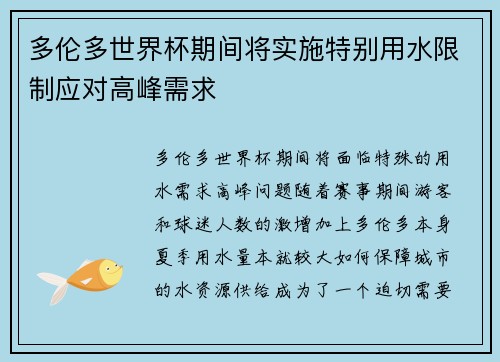 多伦多世界杯期间将实施特别用水限制应对高峰需求