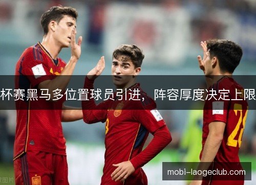 杯赛黑马多位置球员引进,阵容厚度决定上限 杯赛黑马多位置球员引进,阵容厚度决定上限